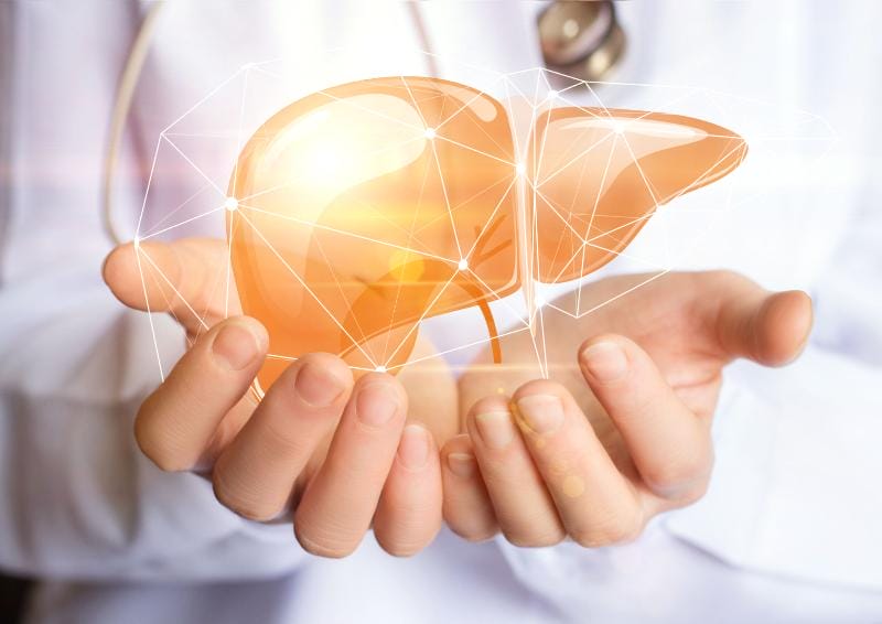 a person holding a transparent liver