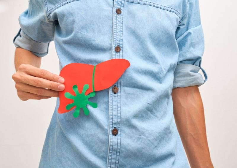 Person holding paper liver cutout
